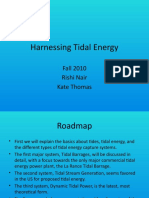 Harnessing Tidal Energy: Fall 2010 Rishi Nair Kate Thomas