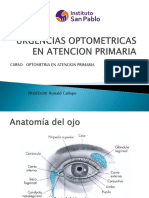 Urgencias Optometricas en Atencion Primaria Final