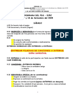 Programa Del FDS Ejec