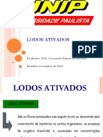 Lodos Ativados