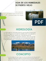 Hidrologia Puerto Viejo Cañete