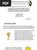 Informe de Proyecto de Investigacion