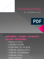 Patologia Fetal