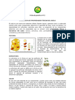 Ficha de Práctica #02. MES PDF