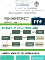 Metabolismo Bacteriano