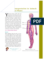 0654 IGCSE - Transportation in Plants and Animals PDF