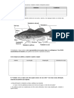 Peixes - Prof. Adão Marcos Graciano Dos Santos 