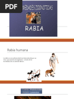 Rabia Humana