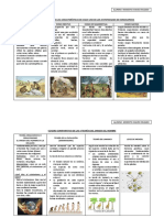 Cuadro Comparativo