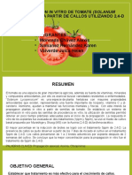 Expo - Final - Progragacion de Tomate