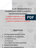 ¿Qué Son Los Transgénicos U Organismos Genéticamente Modificados (Ogm) ?