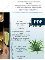 DTI de La Producción Del Mezcal