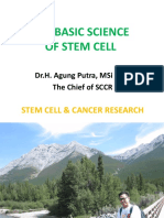 The Basic of Stem Cell