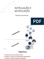 Aula 6 Gastrulacao e Neurulacao BD 2016