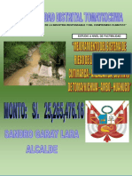 Pip Riego PDF