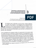 Asuntos Conceptuales en La Investigación Del Comportamiento Animal