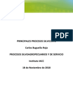 Proceso Silvoagropecuario Tarea S2