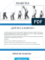 Que Es La Marcha Tipos de Marcha Eubasia Disbasias Patologicas