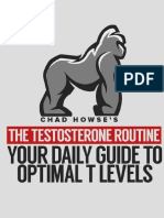 The Testosterone Routine Ebook