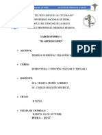 Tema 1 Microscopio