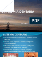 ANATOMIA DENTARIA Aula