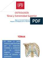 Torax PDF