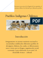 Pueblos Indigenas