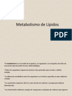 Metabolismo de Lipidos 2° - 2