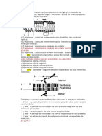 D) O Algarismo 4 Assinala Uma Molécula de Proteína Que Faz Parte Do Glicocálix