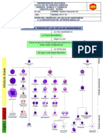 Informe #2