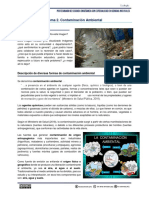 Contaminación Ambiental PDF