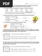 Spongebob Genetics 1