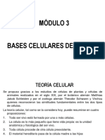 Estructura Celular (EXPOCISIONES)