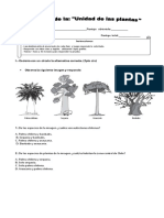 Prueba Ciencias Las Plantas