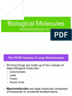 Biological Molecules