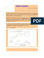 Ácidos Nucleicos