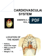 The Cardiovascular System