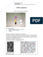 Células Sanguíneas