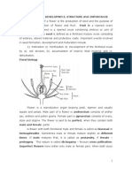 Seed Formation and Development