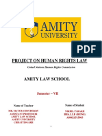 Project On Human Rights Law: Semester - VII