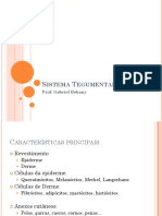 1 - Sistema Tegumentar PDF