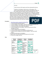 Virtual Long Bone Dissection-2