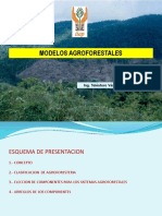 Modelos Agroforestales Unsaac