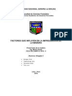 Informe 1 Preservado