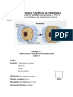 Informe 7 - Manejo y Observación en El Microscopio Óptico