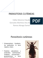 Parasitosis Cutanea