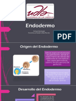 Endodermo