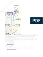 Urinary Tract Infection (UTI)