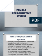 Female Reproductive System