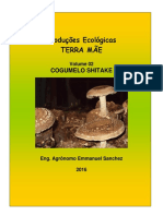 Producao Do Shiitake e Hiratake